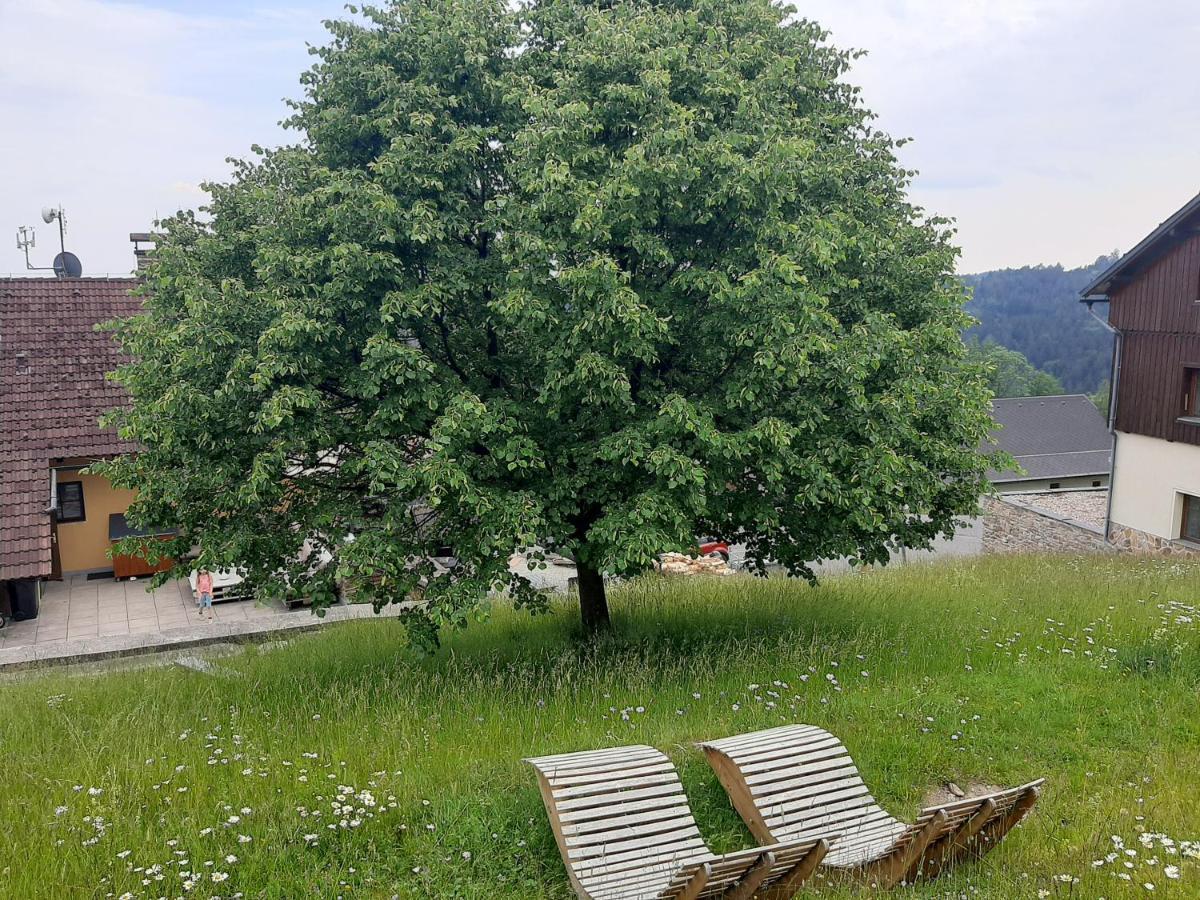 Na Budarce Paseky nad Jizerou Dış mekan fotoğraf